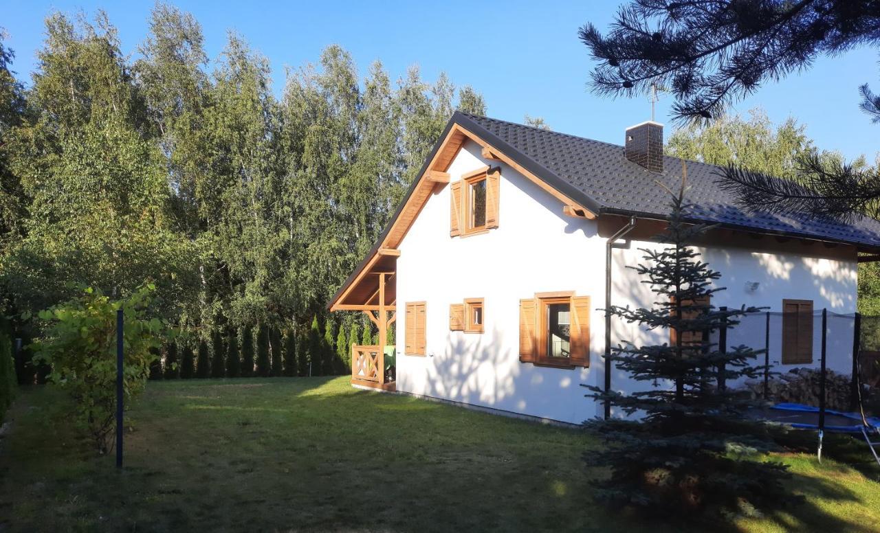 Domek Caloroczny Nad Jeziorem Budzislawskim, Wielkopolska Na Wynajem Anastazewo Exterior foto